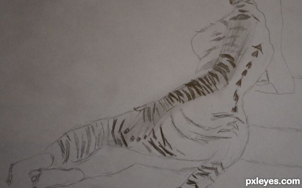 Creation of Tiger woman: Step 3