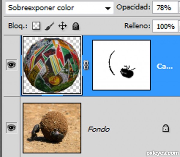 Creation of Beetle art: Step 4