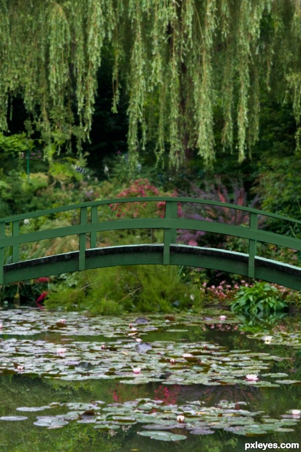 Creation of Monet, Bridge over Water Lilies: Step 5