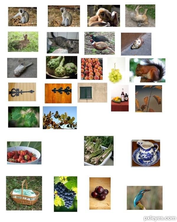 Creation of Still Life With Fruit, Game, Vegetables and Live Monkey, Squirrel and a Cat: Step 2