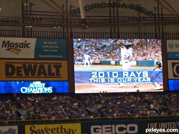 Creation of Tropicana Field: Step 7