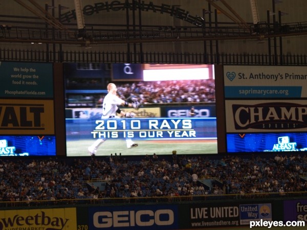 Creation of Tropicana Field: Step 8