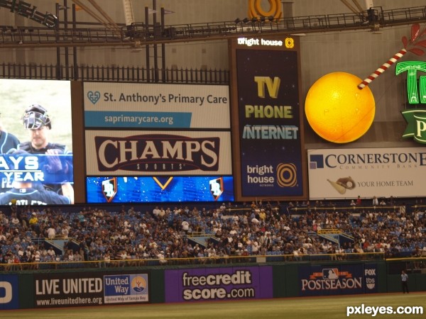 Creation of Tropicana Field: Step 10