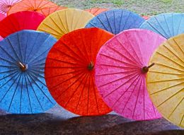 Picture Perfect Paper Parasols