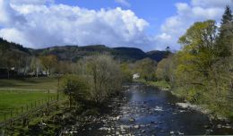 Park and River