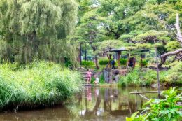 Park in Tokyo