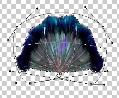 Creation of Peacock Goddess: Step 2