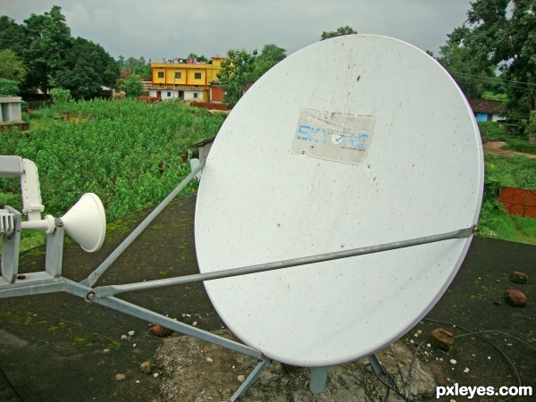 DTH Antenna