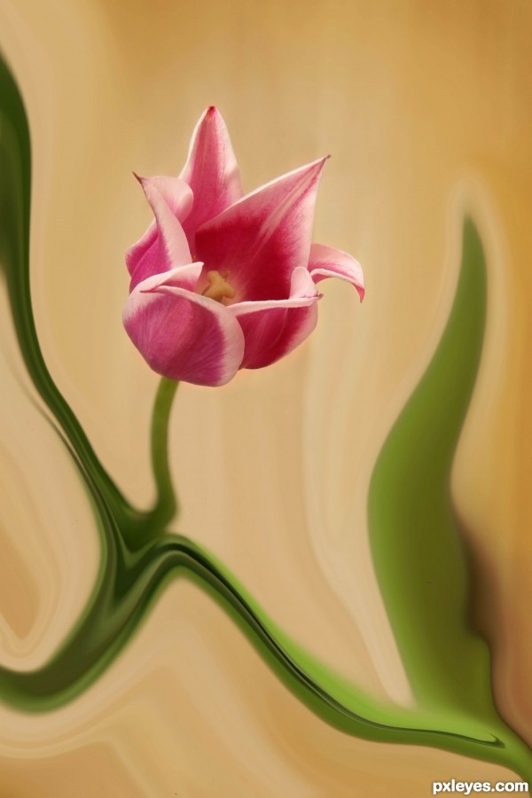 Creation of Tulips on Canvas: Step 1