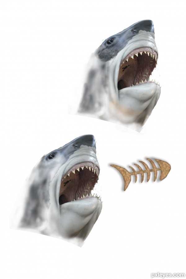 Creation of SharkDog: Step 4