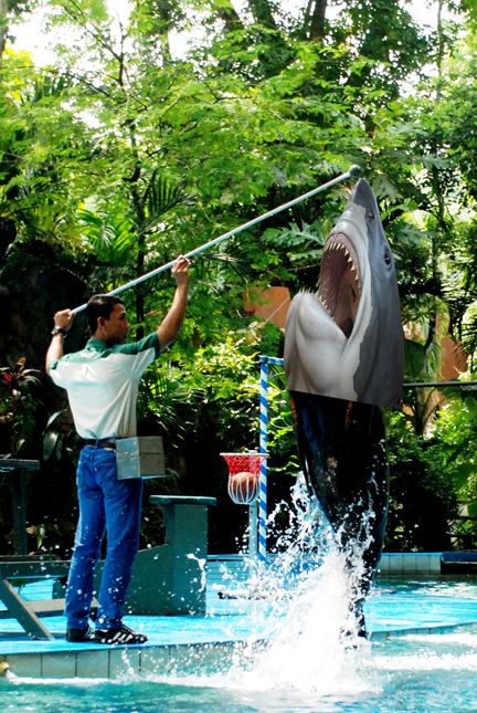 Creation of shark jumping: Step 2