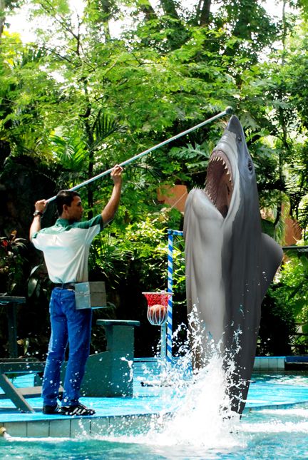 Creation of shark jumping: Step 4