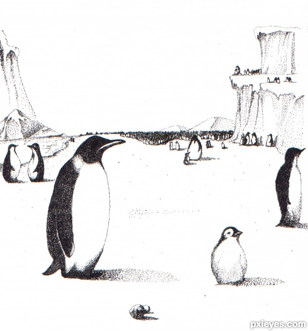 Penguins