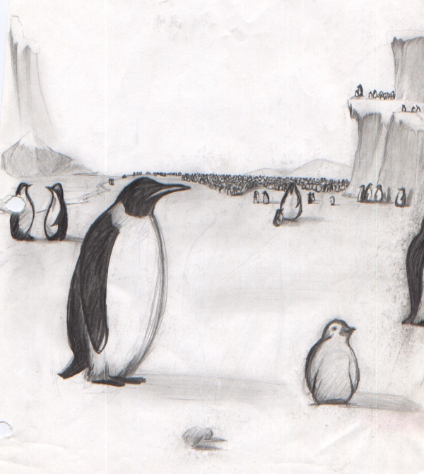 Creation of Penguins: Step 1