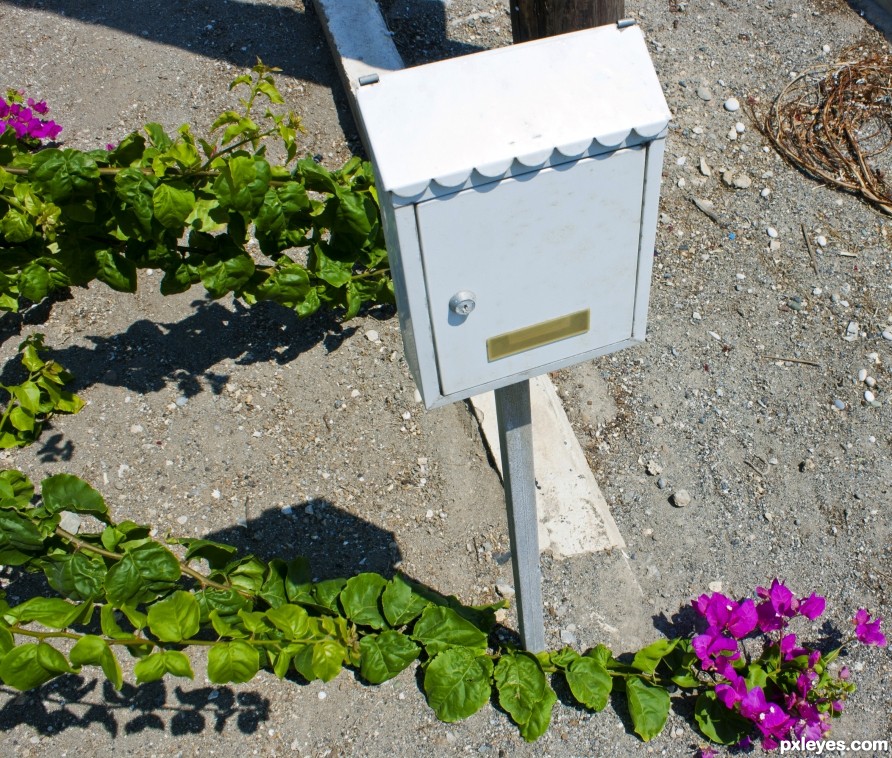 Mailbox and strange creeper