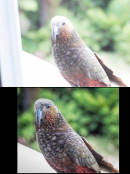 overexposed Kaka