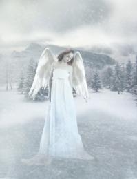 Angel In The Snow