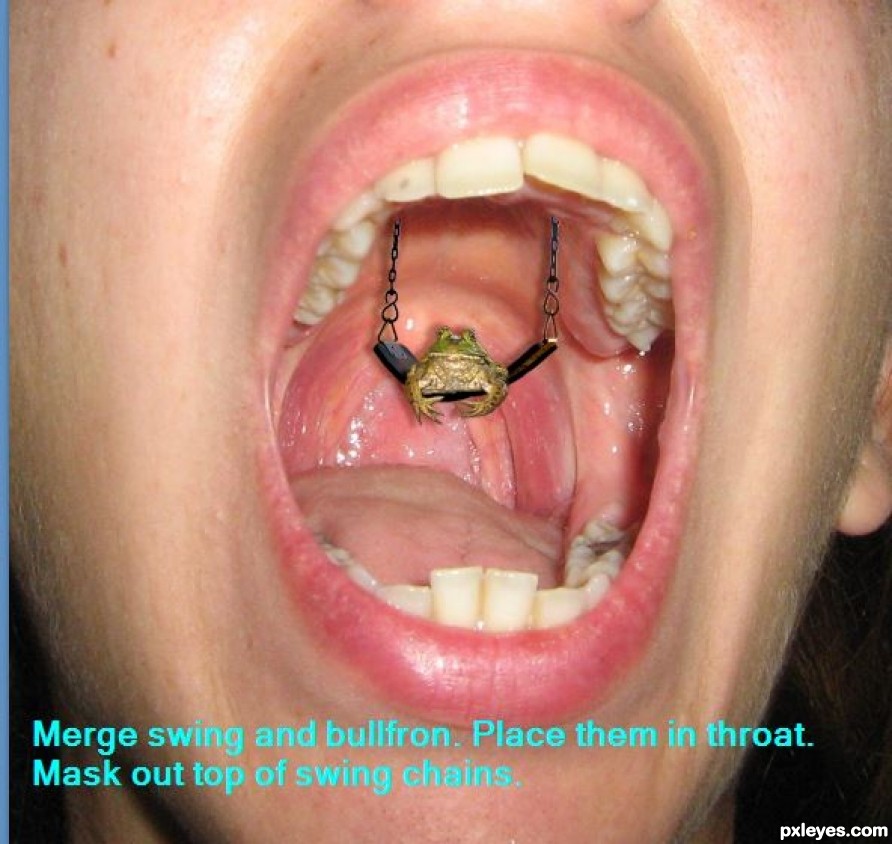 Photoshop Guide The Making Of Frog In Your Throat Pxleyes