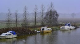 Down by the River in Rain