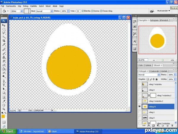 Creation of Eggs: Step 4