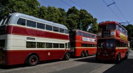 Old Buses