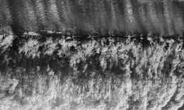 Powerful Tidal Surge or Copse of Trees Reflecting in Water