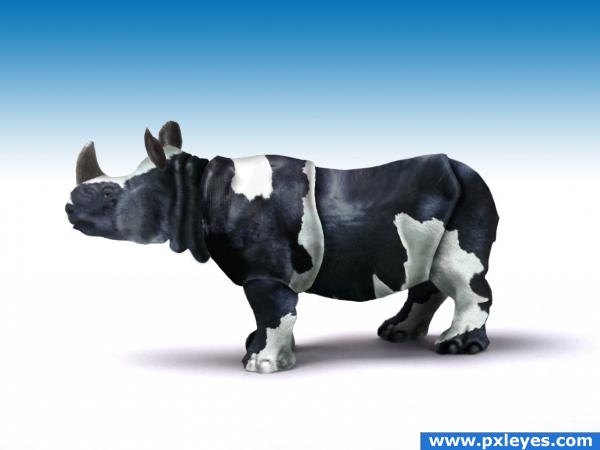 cow rhino