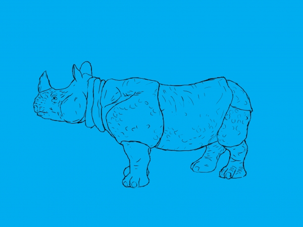 Creation of Painted Rhino: Step 1