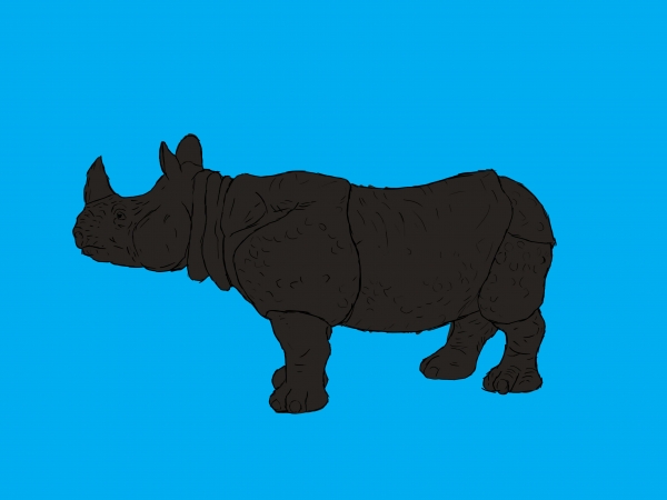 Creation of Painted Rhino: Step 2