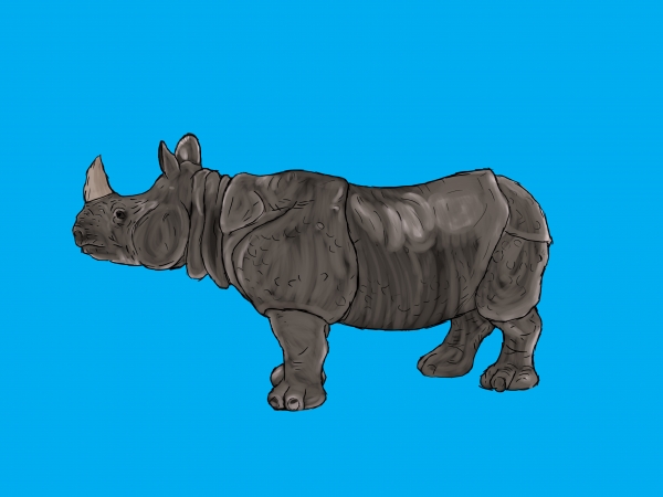 Creation of Painted Rhino: Step 3