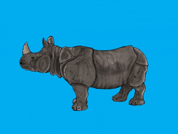 Creation of Painted Rhino: Step 4