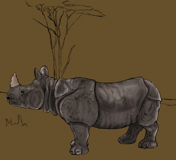 Creation of Painted Rhino: Step 5