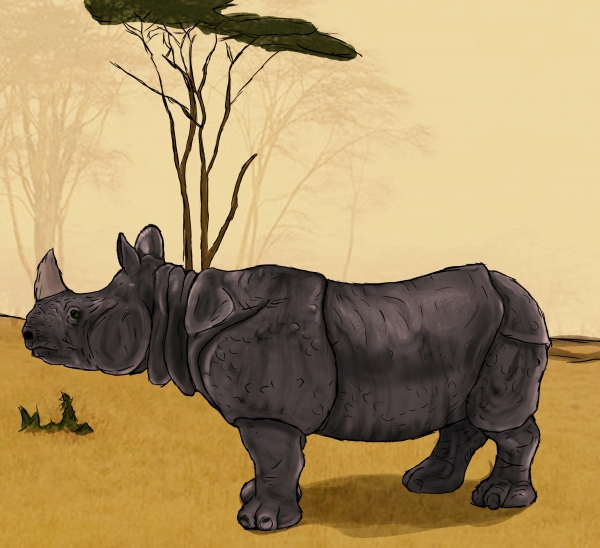 Creation of Painted Rhino: Step 6