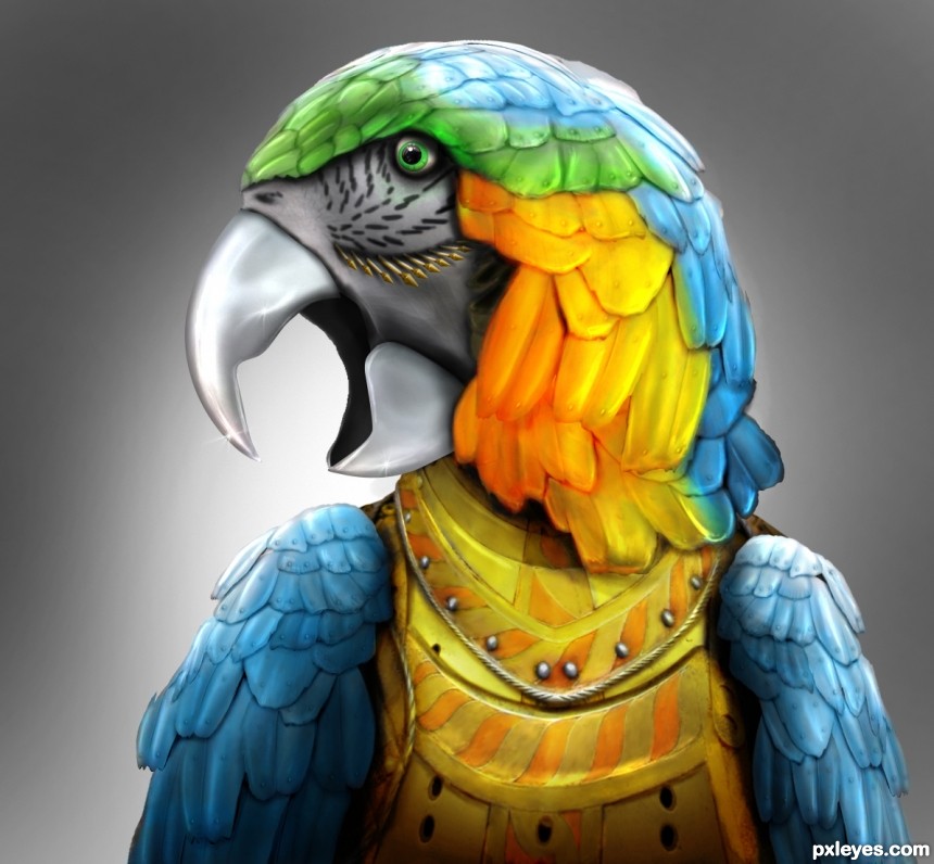 Parrot photoshop picture)