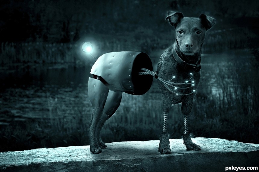 Robo Dog photoshop picture)