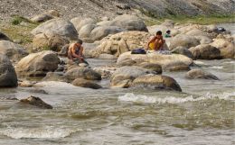 Life among the rocks