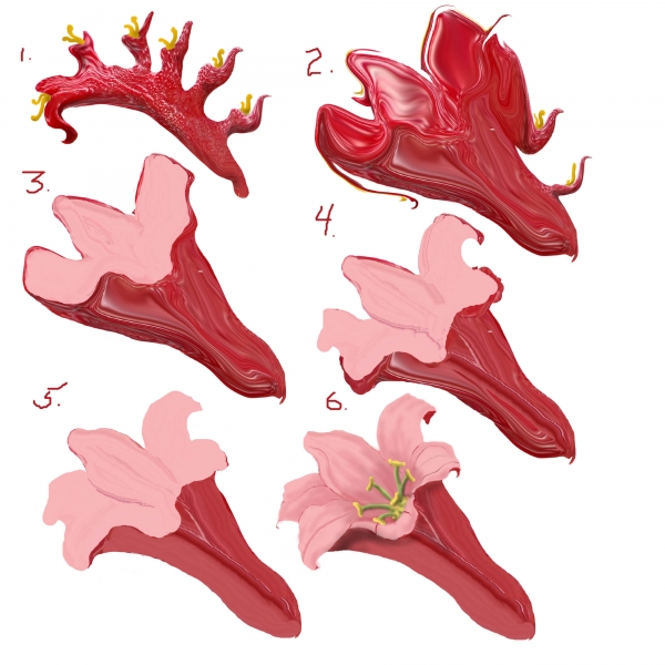 Creation of From the Top of His Head: Step 15