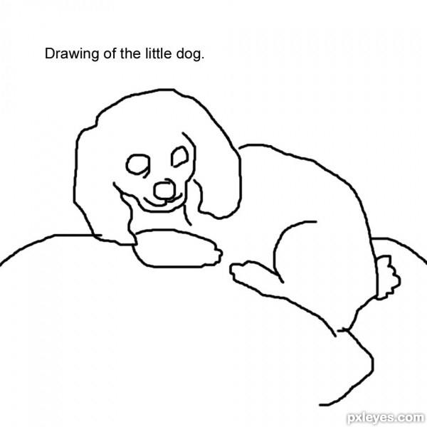 Creation of Dog: Step 2