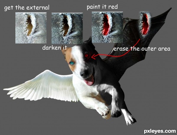 Creation of Contrast Dog Army: Step 3