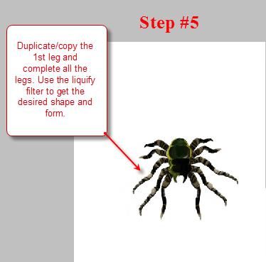 Creation of The Spider: Step 5