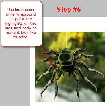 Creation of The Spider: Step 6