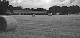 Haystacks