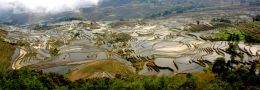 Yuanyang Rice terraces - Yunnan Province