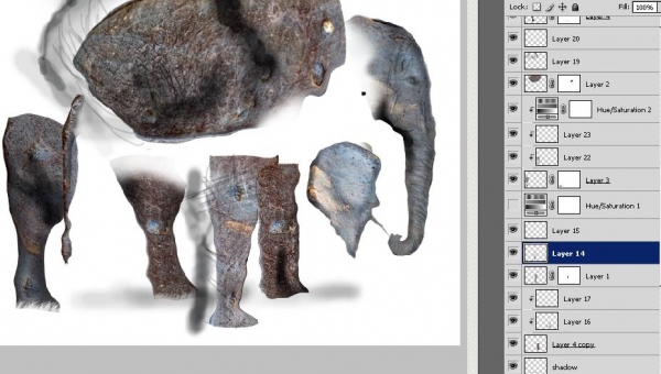 Creation of Elephant: Step 22