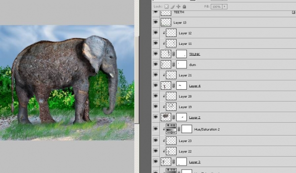 Creation of Elephant: Step 17