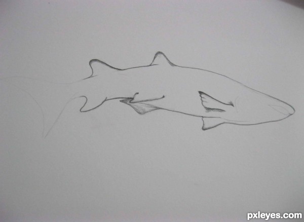 Creation of shark: Step 3