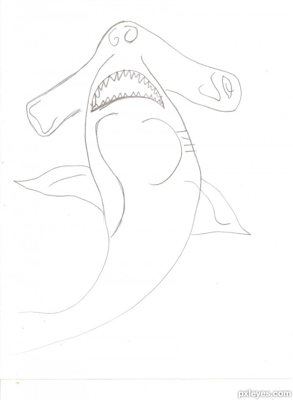 Creation of Shark!: Step 2