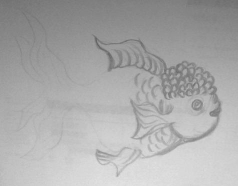 Creation of imagination golden fish: Step 2