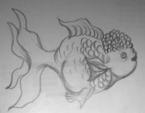 Creation of imagination golden fish: Step 3