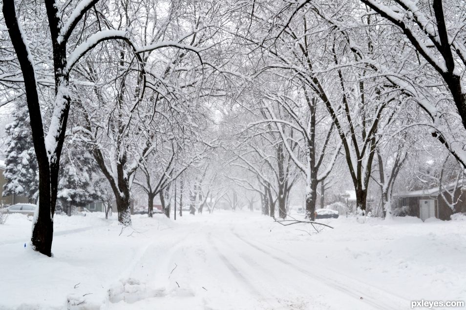 Snowy Street